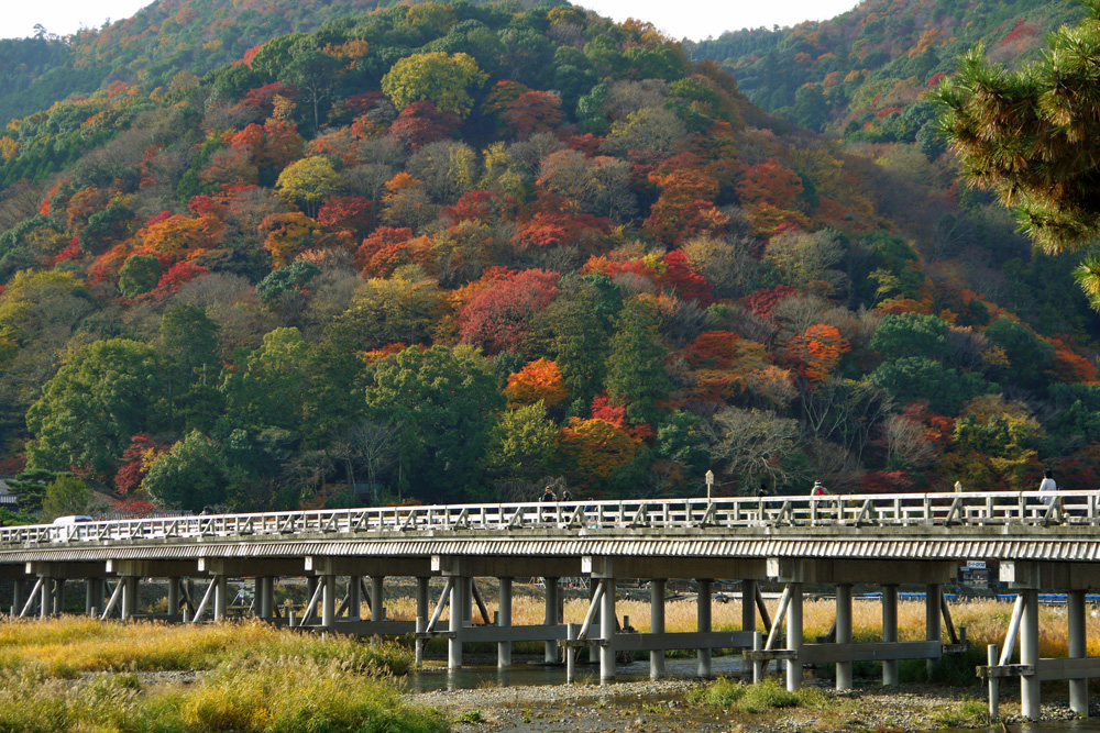 紅葉 大阪発の日帰りバスツアー案内所